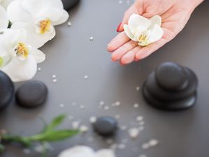 Preview wallpaper orchid, flower, hand, stone, aesthetics