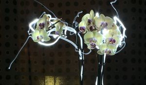 Preview wallpaper orchid, flowers, neon
