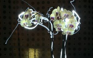 Preview wallpaper orchid, flowers, neon