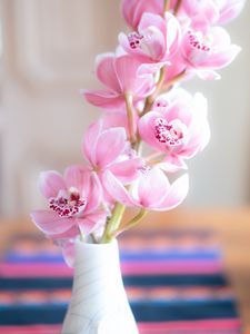 Preview wallpaper orchid, flowers, petals, pink, vase