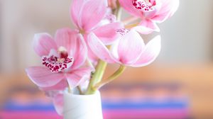 Preview wallpaper orchid, flowers, petals, pink, vase