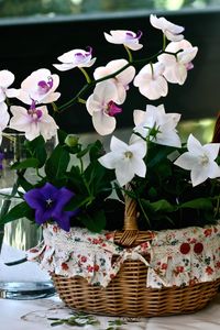 Preview wallpaper orchids, bells, hibiscus, baskets, cloth, glass