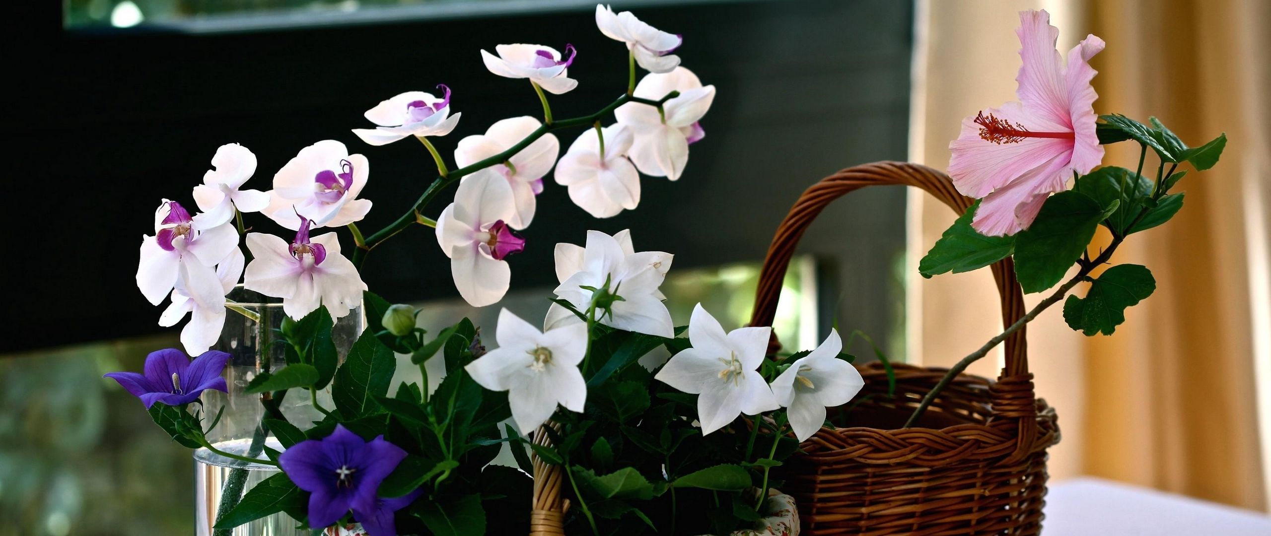 Download wallpaper 2560x1080 orchids, bells, hibiscus, baskets, cloth 