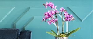 Preview wallpaper orchids, flowers, bouquet, vase, decor