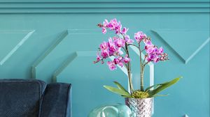 Preview wallpaper orchids, flowers, bouquet, vase, decor