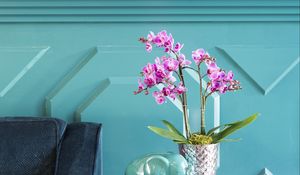 Preview wallpaper orchids, flowers, bouquet, vase, decor