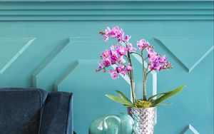 Preview wallpaper orchids, flowers, bouquet, vase, decor