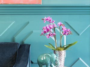 Preview wallpaper orchids, flowers, bouquet, vase, decor