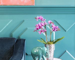 Preview wallpaper orchids, flowers, bouquet, vase, decor