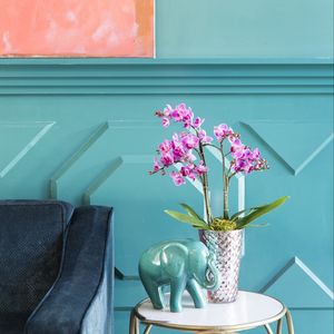 Preview wallpaper orchids, flowers, bouquet, vase, decor