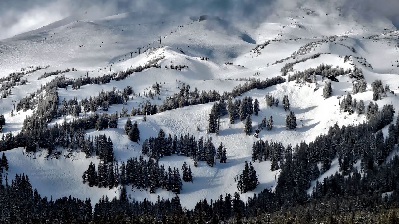 Wallpaper oregon, united states, trees, mountains, snow