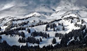 Preview wallpaper oregon, united states, trees, mountains, snow