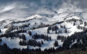 Preview wallpaper oregon, united states, trees, mountains, snow
