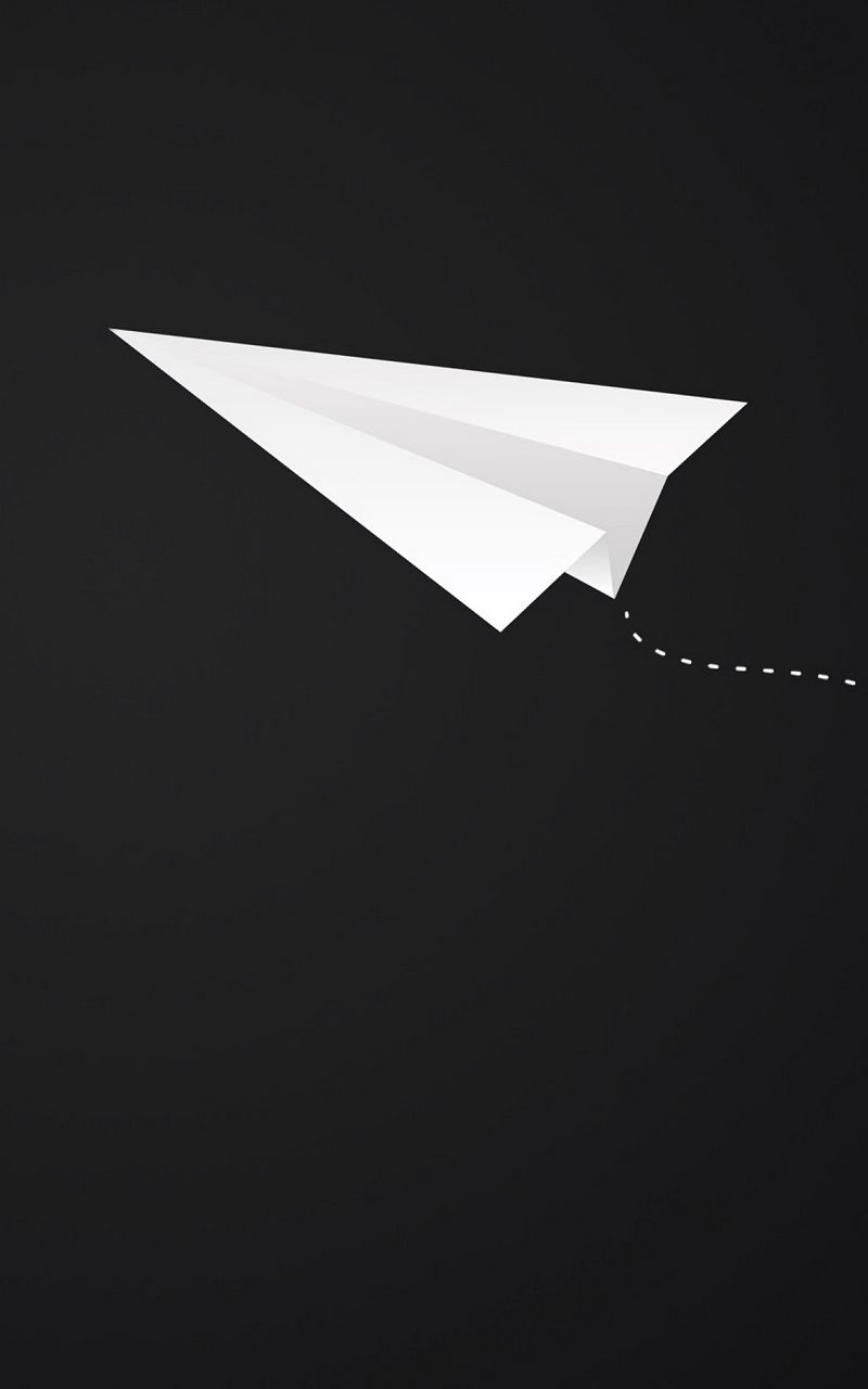 800x1280 Wallpaper origami, plane, art, paper, minimalism