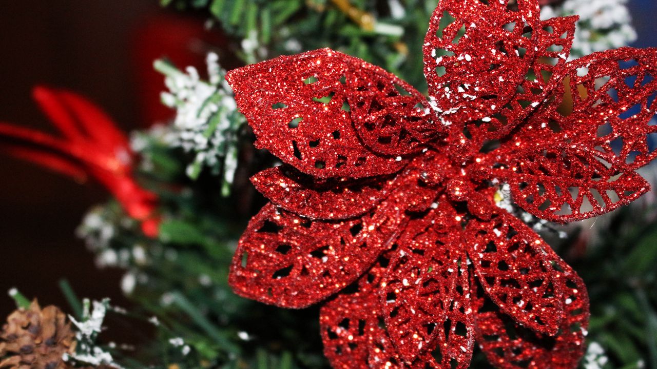 Wallpaper ornament, christmas ornaments, poinsettia, decoration