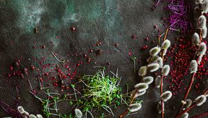Preview wallpaper osier, plants, spices, texture
