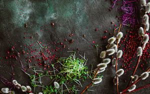 Preview wallpaper osier, plants, spices, texture