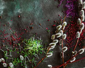 Preview wallpaper osier, plants, spices, texture