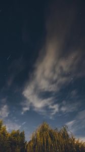 Preview wallpaper osier, starry sky, stars, night
