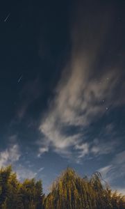 Preview wallpaper osier, starry sky, stars, night