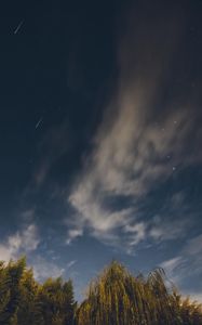 Preview wallpaper osier, starry sky, stars, night