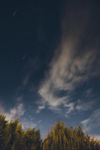 Preview wallpaper osier, starry sky, stars, night