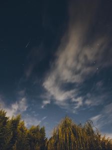 Preview wallpaper osier, starry sky, stars, night