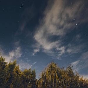 Preview wallpaper osier, starry sky, stars, night