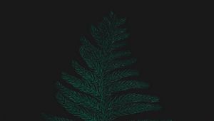 Preview wallpaper ostrich fern, leaf, plant, green, dark