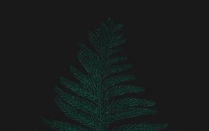 Preview wallpaper ostrich fern, leaf, plant, green, dark