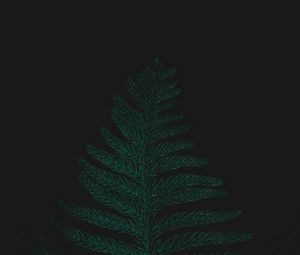 Preview wallpaper ostrich fern, leaf, plant, green, dark