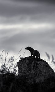 Preview wallpaper otter, stone, bw, sculpture, dark