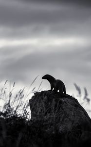 Preview wallpaper otter, stone, bw, sculpture, dark