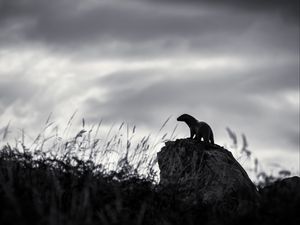 Preview wallpaper otter, stone, bw, sculpture, dark