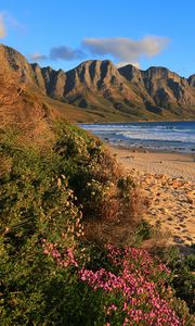 Preview wallpaper overberg, south africa, sea, beach, sand