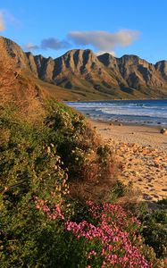 Preview wallpaper overberg, south africa, sea, beach, sand