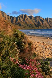 Preview wallpaper overberg, south africa, sea, beach, sand