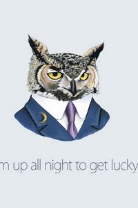 Preview wallpaper owl, art, inspiration