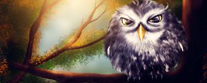 Preview wallpaper owl, bird, art, branches