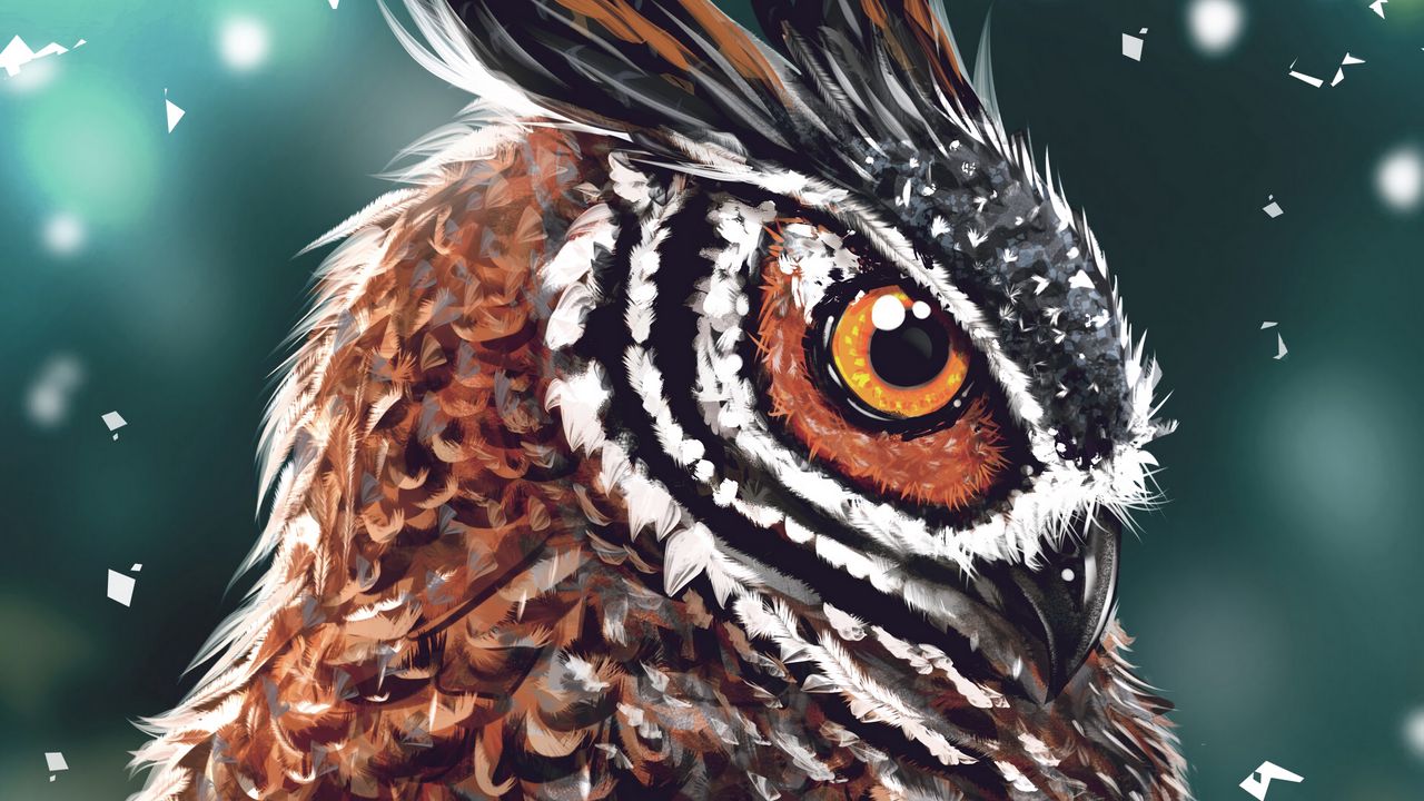 Wallpaper owl, bird, art, head, eye, beak