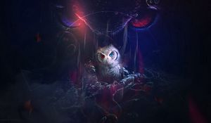 Preview wallpaper owl, bird, art, eyes, colorful