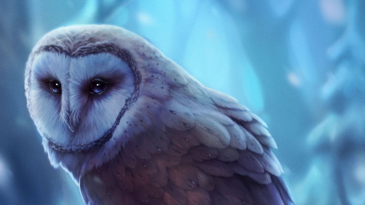 Wallpaper owl, bird, art, glance, predator