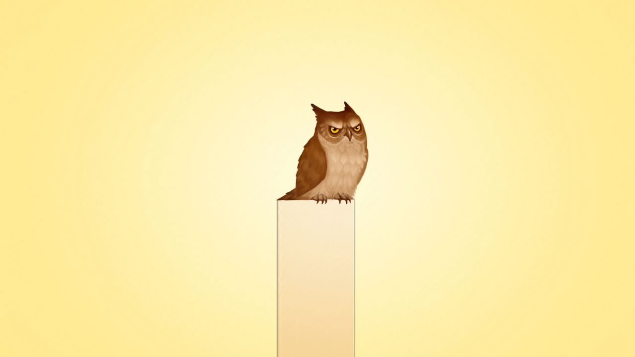 Wallpaper owl, bird, drawing