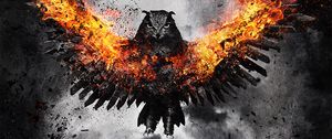Preview wallpaper owl, bird, fire, wings, flap