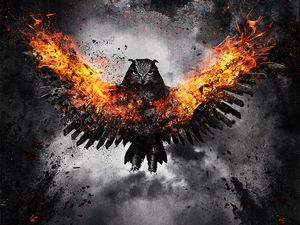 Preview wallpaper owl, bird, fire, wings, flap