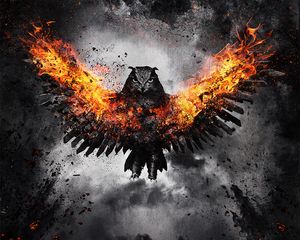 Preview wallpaper owl, bird, fire, wings, flap