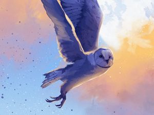 Preview wallpaper owl, bird, flight, art