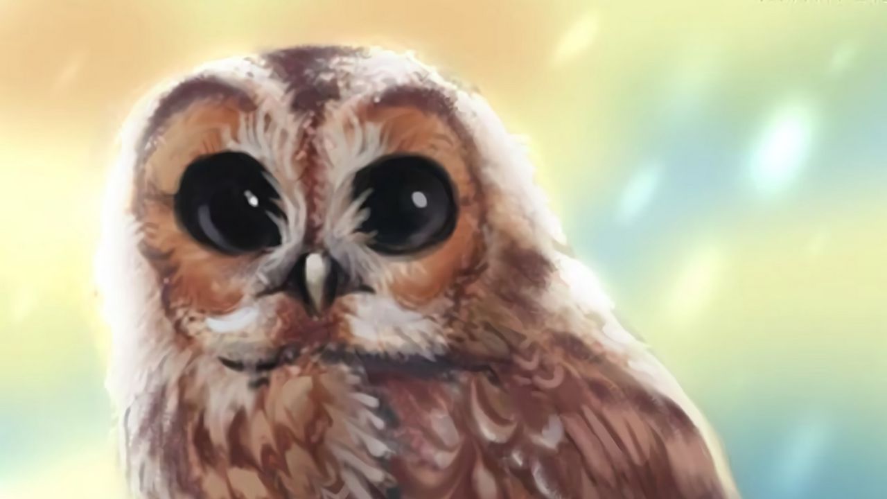 Wallpaper owl, bird, glance, art