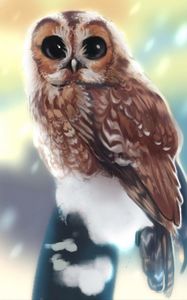 Preview wallpaper owl, bird, glance, art