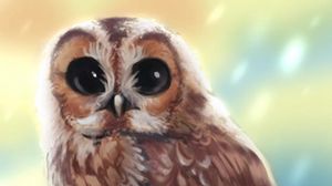 Preview wallpaper owl, bird, glance, art